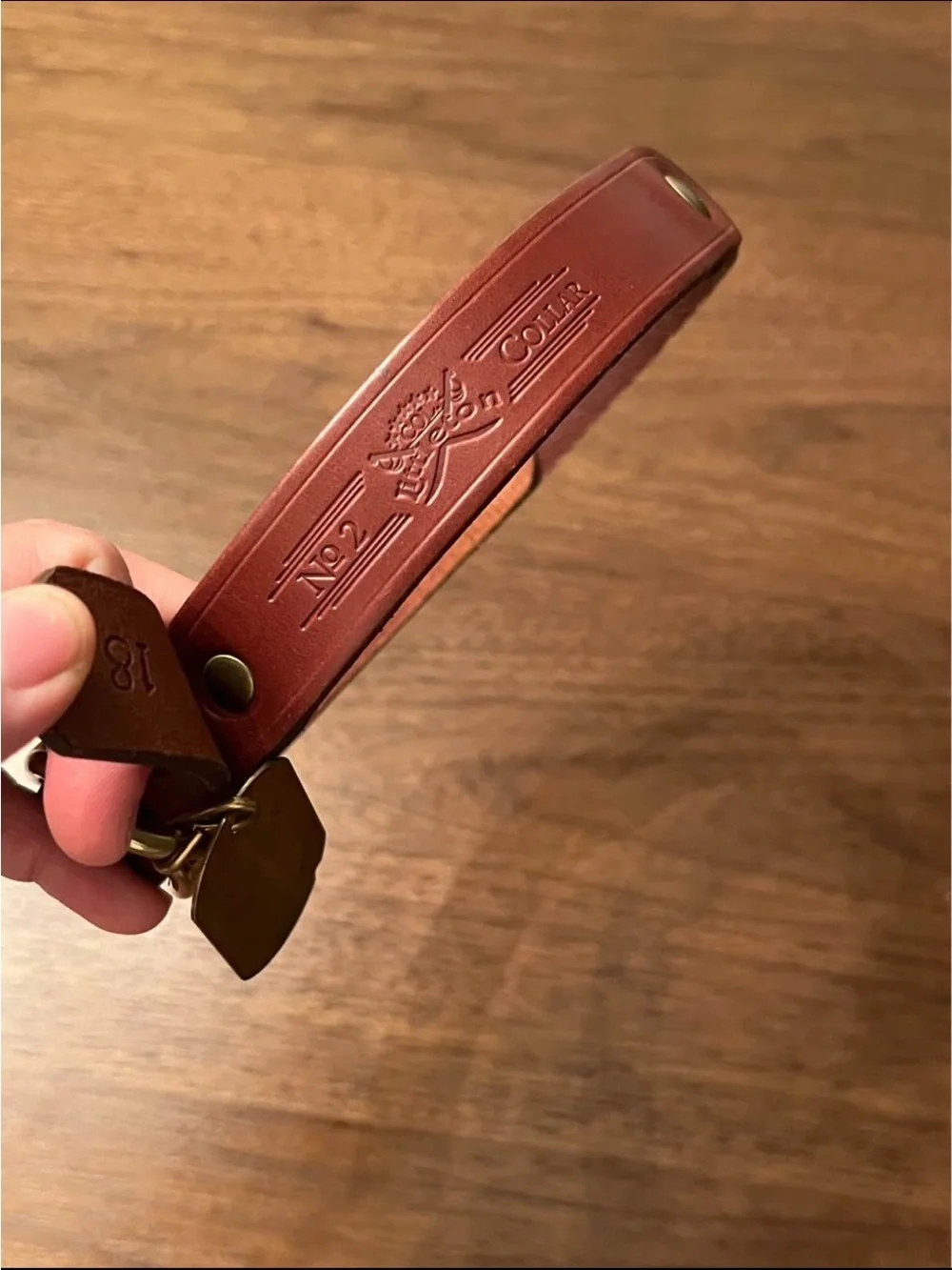 Leather & Brass Collar